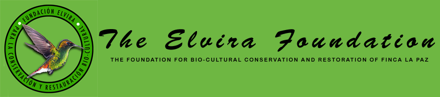 La Fundación Elvira ~ The Elvira Foundation