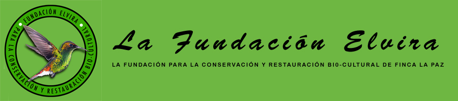 La Fundación Elvira ~ The Elvira Foundation